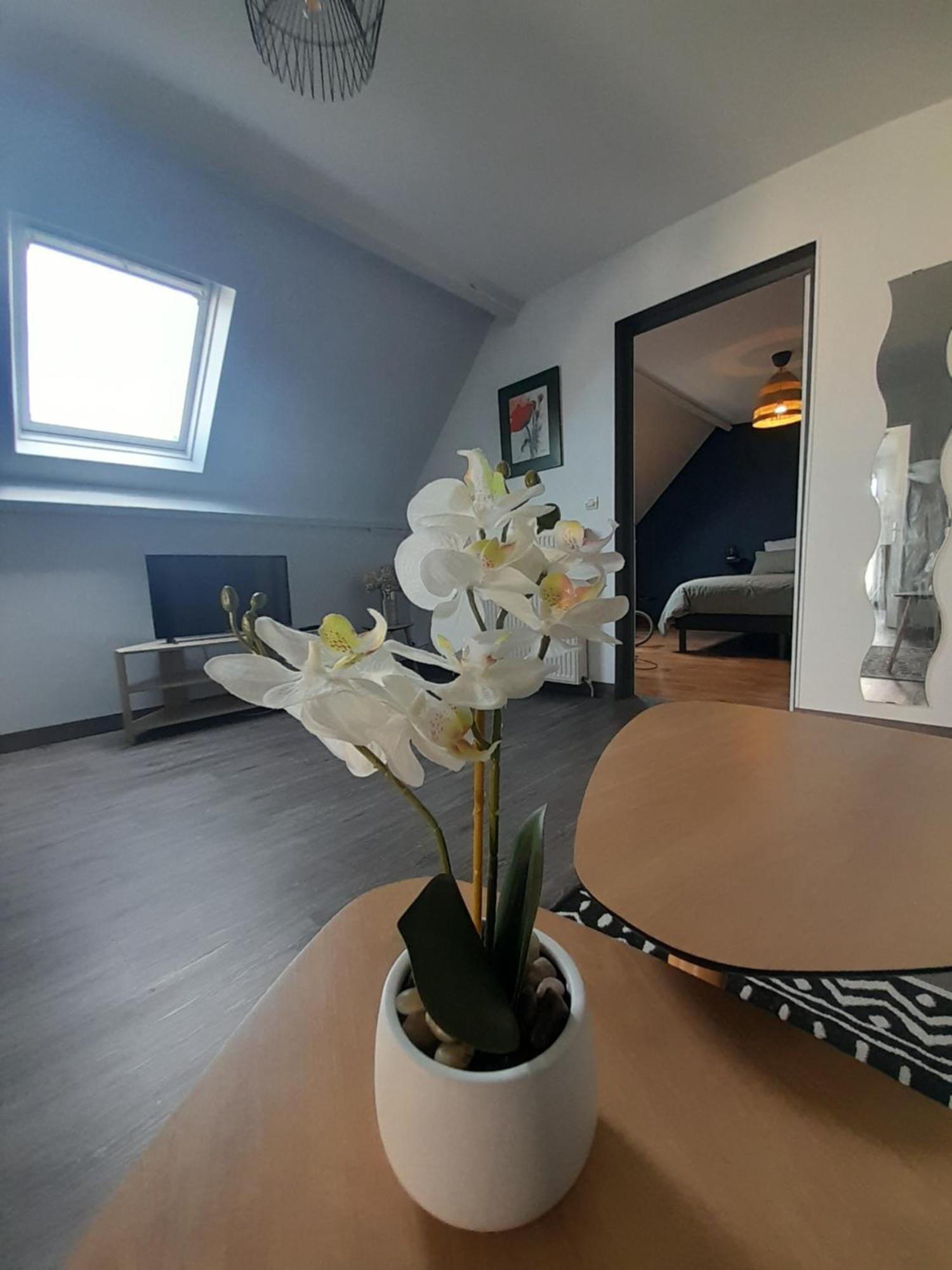 Le Bon Plan Entre Caen Et La Mer ** Draps Et Menage Inclus !** Giberville Bagian luar foto
